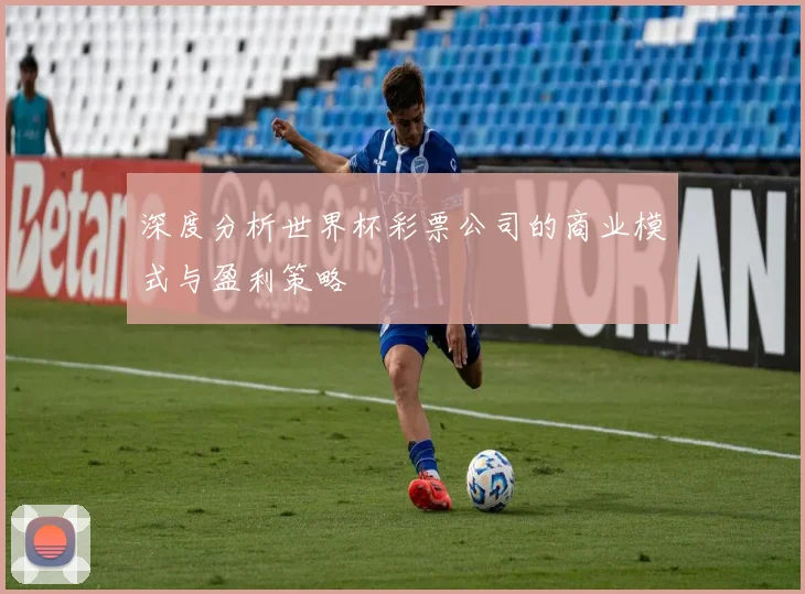 深度分析世界杯彩票公司的商业模式与盈利策略