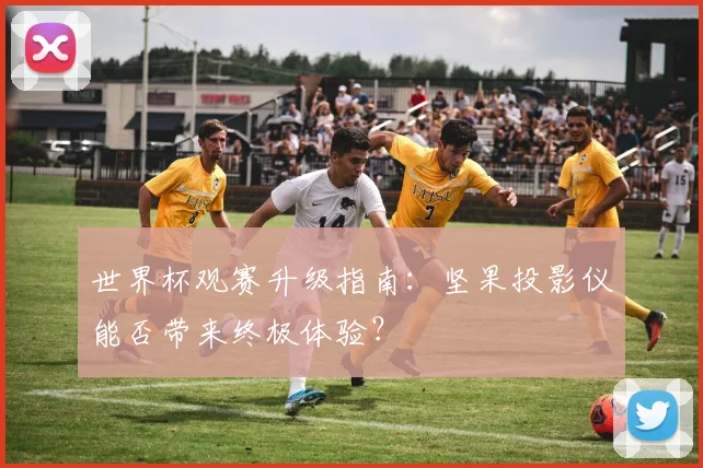 世界杯观赛升级指南:坚果投影仪能否带来终极体验?