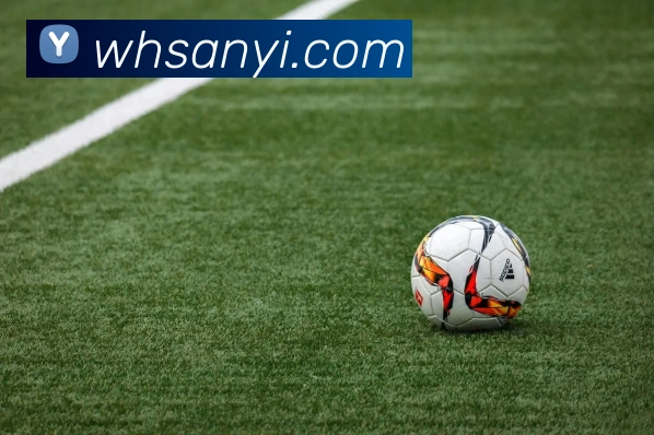 巅峰国际app官网下载品牌故事